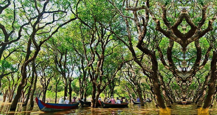 from-siem-reap-floating-village-tour-by-boat