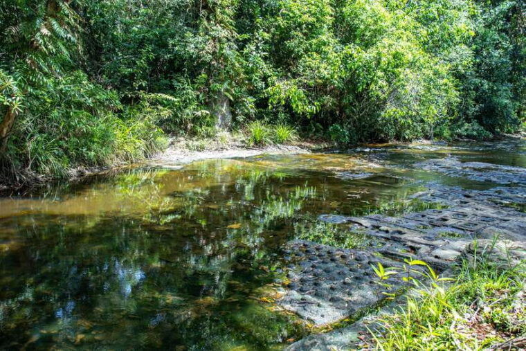 from-siem-reap-phnom-kulen-national-park-beng-mealea-tour