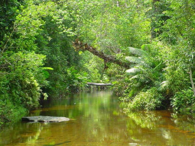 from-siem-reap-small-group-phnom-kulen-waterfall-day-tour