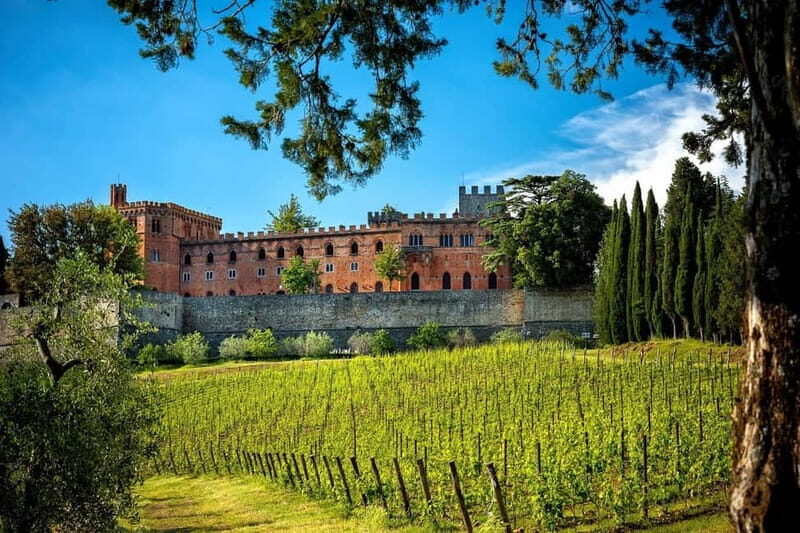 From Siena/Badesse: Vespa & Chianti Tour in the Tuscan Hills - Who Should Book This Tour?