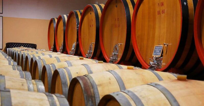 from-siena-brunello-di-montalcino-guided-wine-tour-w-lunch