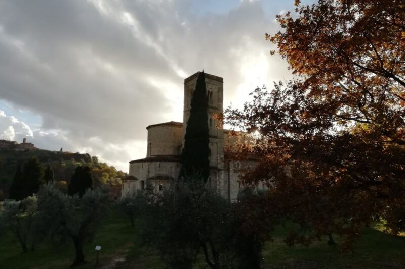 from-siena-brunello-di-montalcino-guided-wine-tour-w-lunch