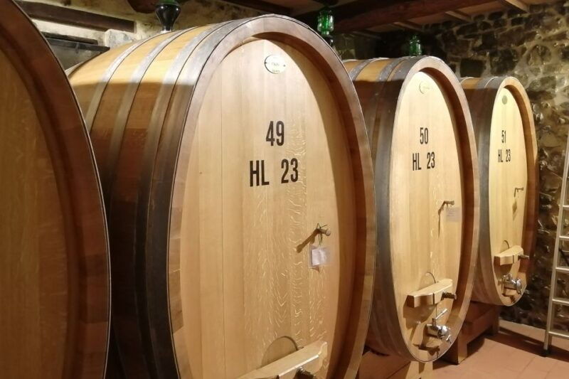 from-siena-brunello-di-montalcino-guided-wine-tour-w-lunch