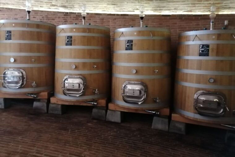 from-siena-brunello-di-montalcino-guided-wine-tour-w-lunch