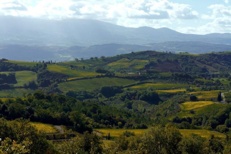 from-siena-brunello-di-montalcino-guided-wine-tour-w-lunch