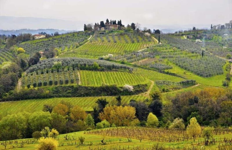 From Siena: Chianti and Castle Tour - What We Appreciate About This Tour