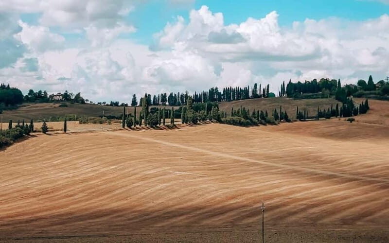 From Siena: Chianti and Castle Tour - Final Thoughts