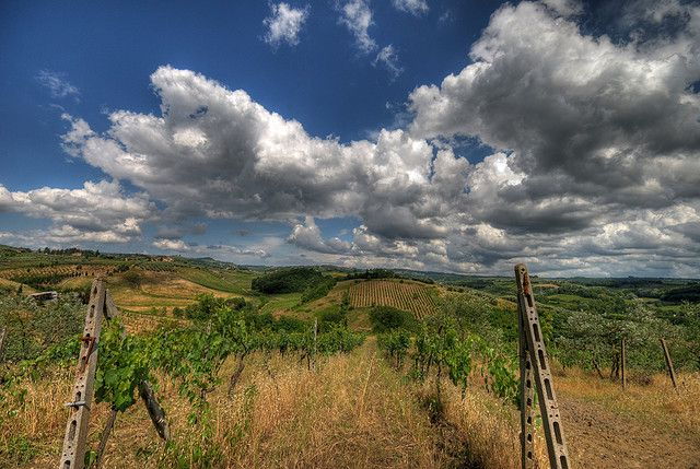 from-siena-chianti-and-castles-tour-with-wine-tastings