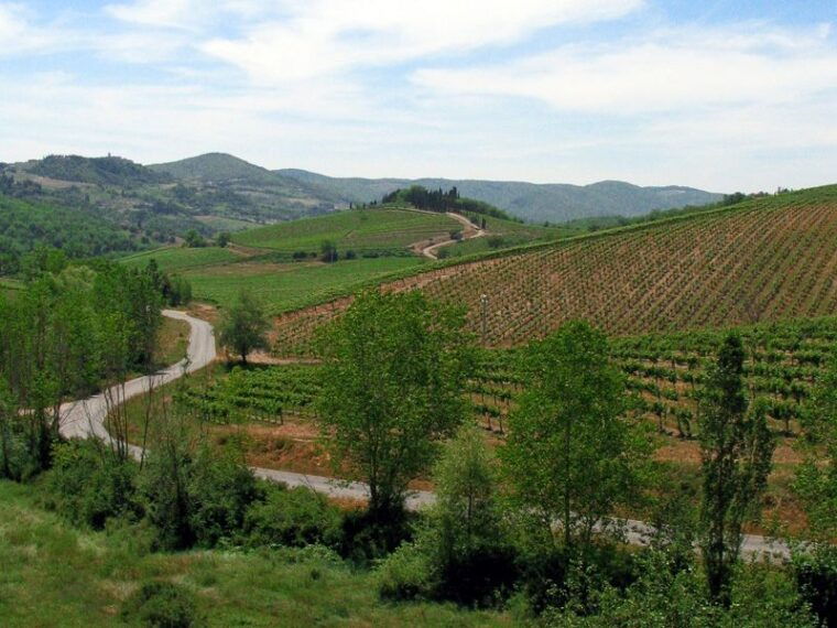 from-siena-chianti-and-castles-tour-with-wine-tastings
