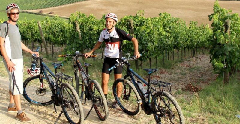 from-siena-chianti-countryside-e-bike-tour-w-lunch-wine