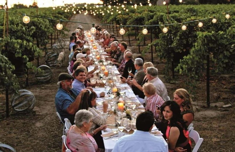 From Siena/Chianti: Dinner & Drinks in the Chianti Vineyards - An Overview of the Experience