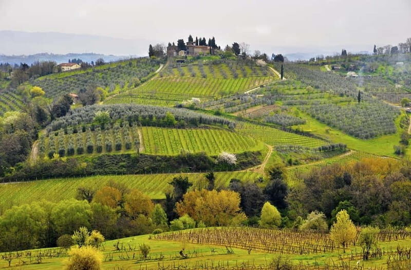 From Siena/Chianti: Dinner & Drinks in the Chianti Vineyards - Who Will Love This Experience?