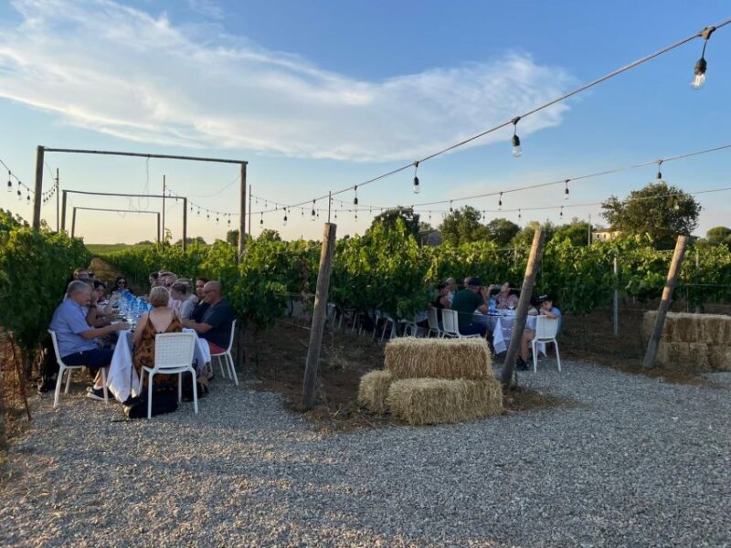 From Siena/Chianti: Dinner & Drinks in the Chianti Vineyards - FAQ