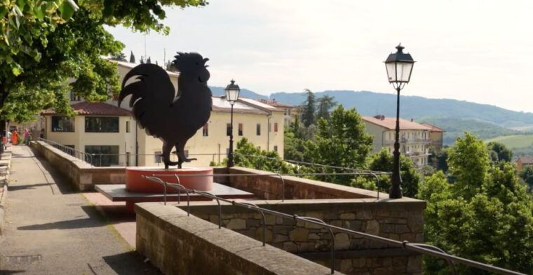 from-siena-chianti-dinner-drinks-in-the-chianti-vineyards
