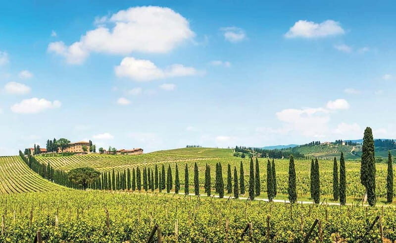 From Siena: Chianti Electric Bike Tour - From Siena: Chianti Electric Bike Tour – A Detailed Look