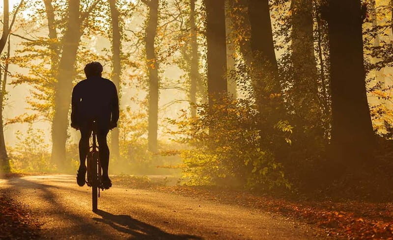 From Siena: Chianti Electric Bike Tour - Itinerary Breakdown