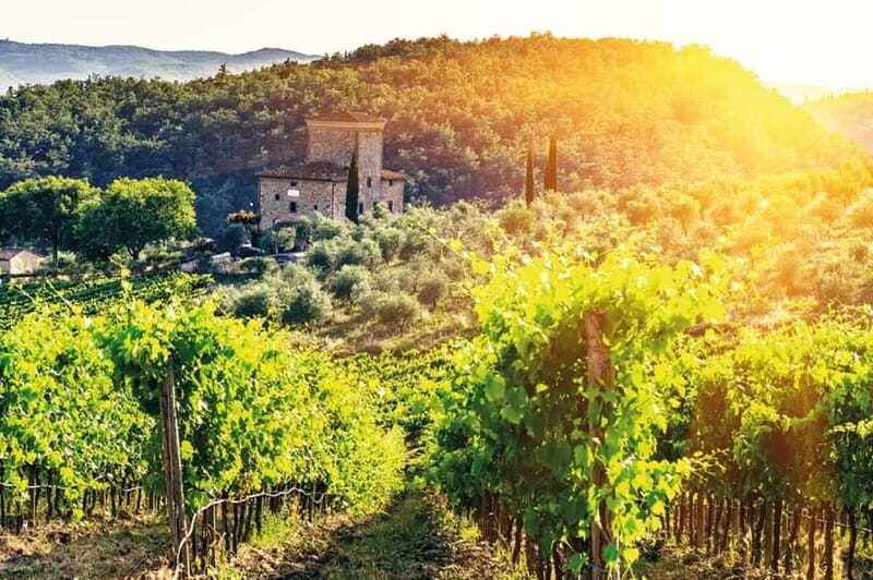 From Siena: Chianti Electric Bike Tour - Authentic Experiences and Hidden Gems