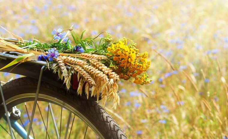 from-siena-chianti-electric-bike-tour
