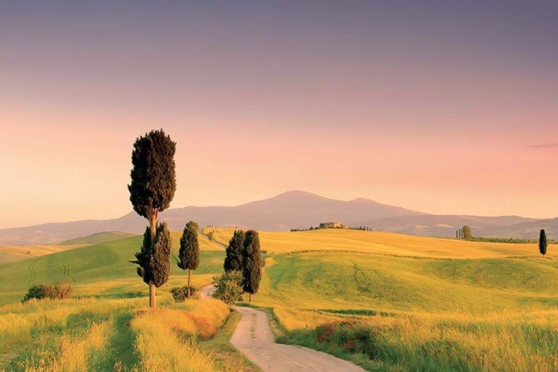 from-siena-tuscany-hills-wine-tour