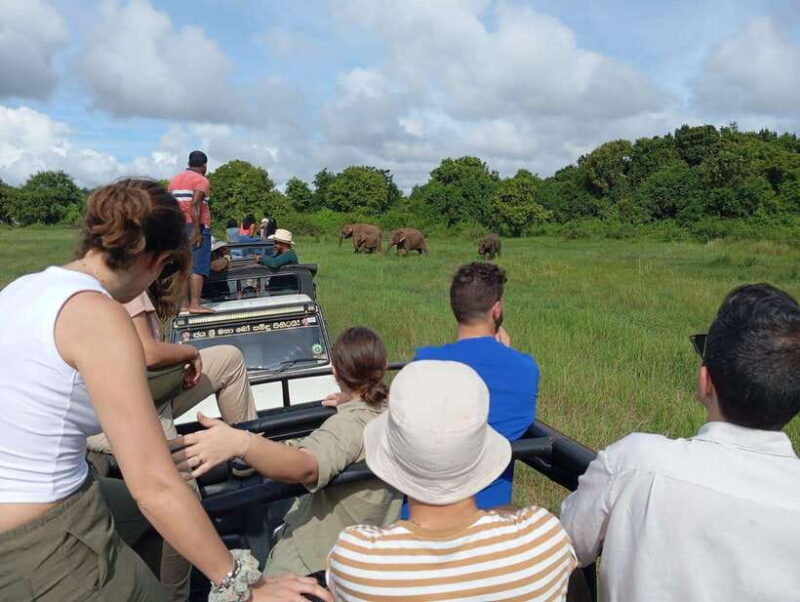 From Sigiriya/Habarana: Minneriya National Park Safari - Final Thoughts