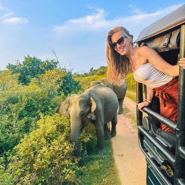 from-sigiriya-hurulu-eco-park-safari-all-inclusive