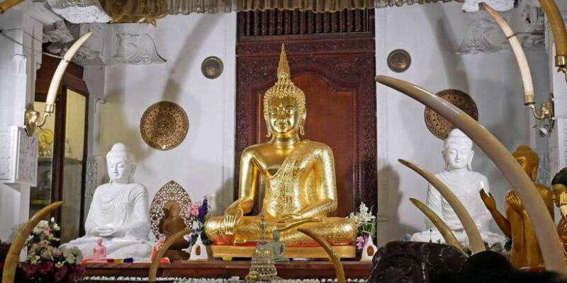 from-sigiriya-kandy-transfer-with-dambulla-and-spice-garden