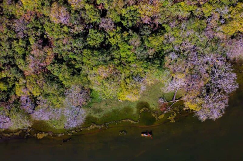 From Sigiriya: Kayaking Through Floating Flowers at Kanthale - Final Thoughts: Who Would Love This Tour?