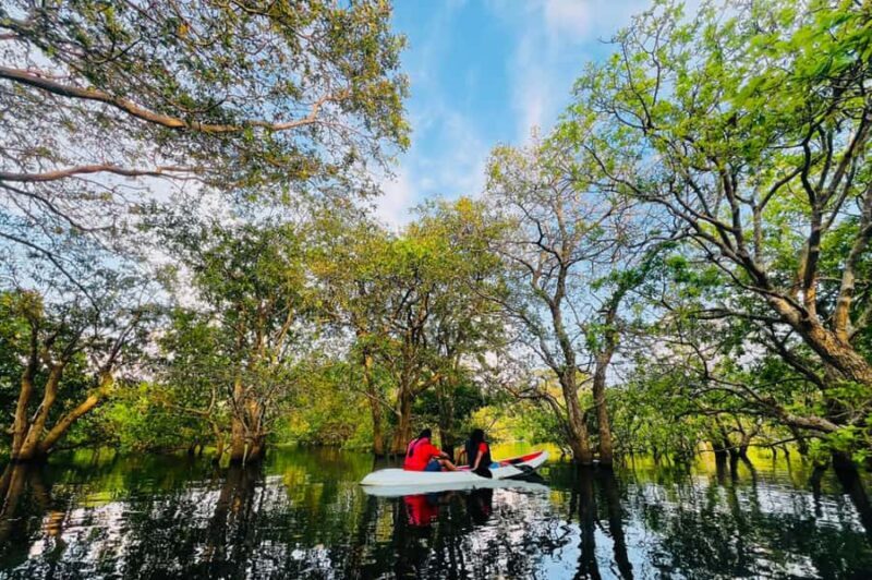 From Sigiriya: Kayaking Through Floating Flowers at Kanthale - FAQ