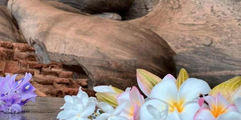 from-sigiriya-polonnaruwa-ancient-city-tour-day-tour
