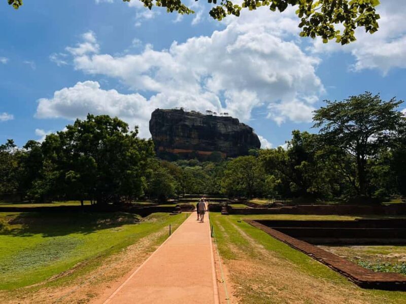 From Sigiriya: Sigiriya Lion Rock and Minneriya Jeep Safari - Who Will Love This Tour?