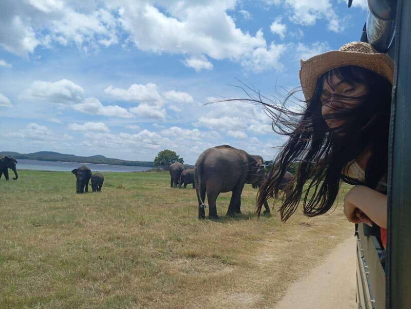 From Sigiriya: Sigiriya Lion Rock and Minneriya Jeep Safari - FAQ