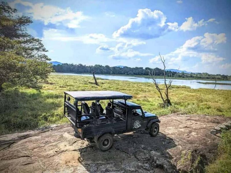 From Sigiriya: Wasgamuwa National Park Safari Adventure - FAQ