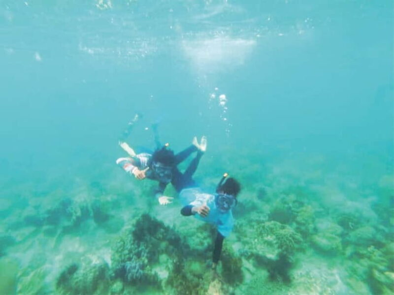 From Singapore : Private Batam Island Snorkeling and Canoe - Who Will Love This Tour?