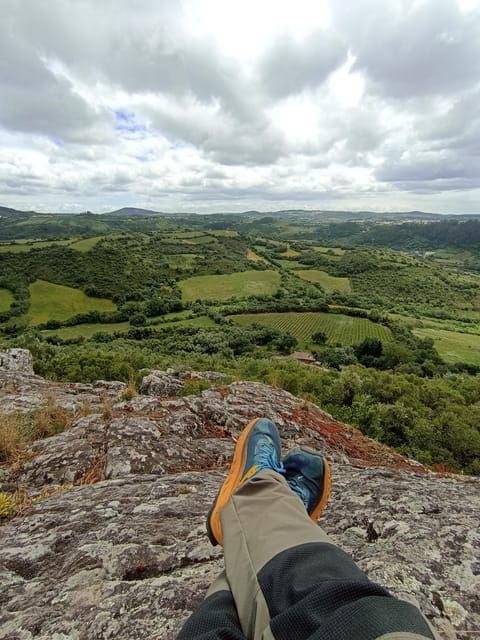 from-sintra-mafra-or-ericeira-hike-and-wine-tour