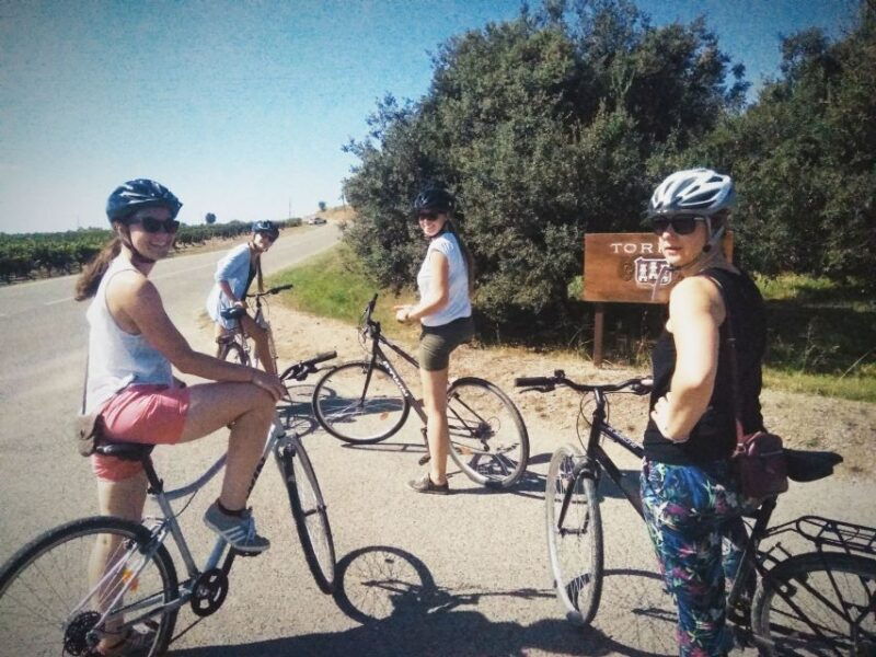 from-sitges-cycling-tour-with-winery-visit-and-tasting