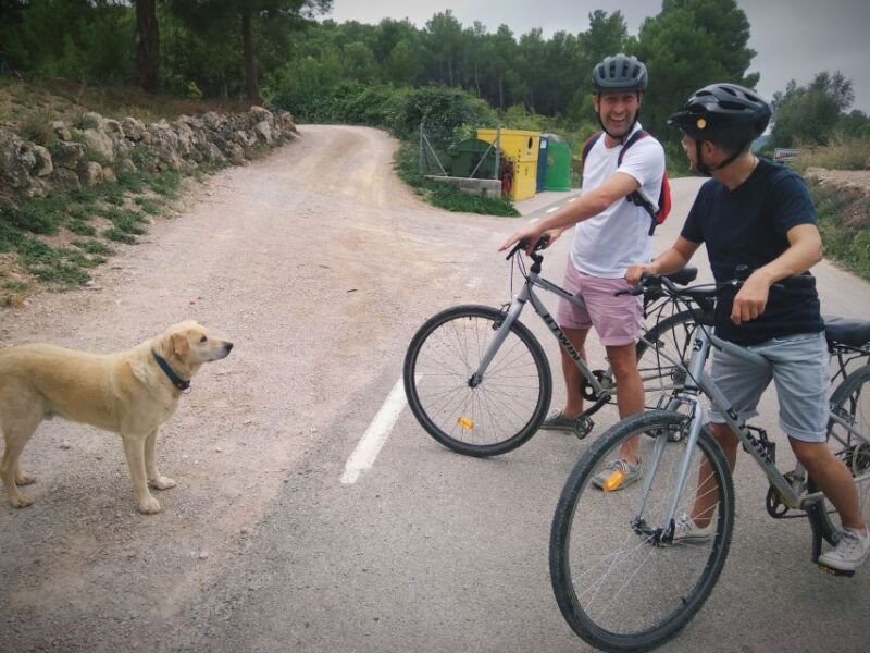 from-sitges-cycling-tour-with-winery-visit-and-tasting