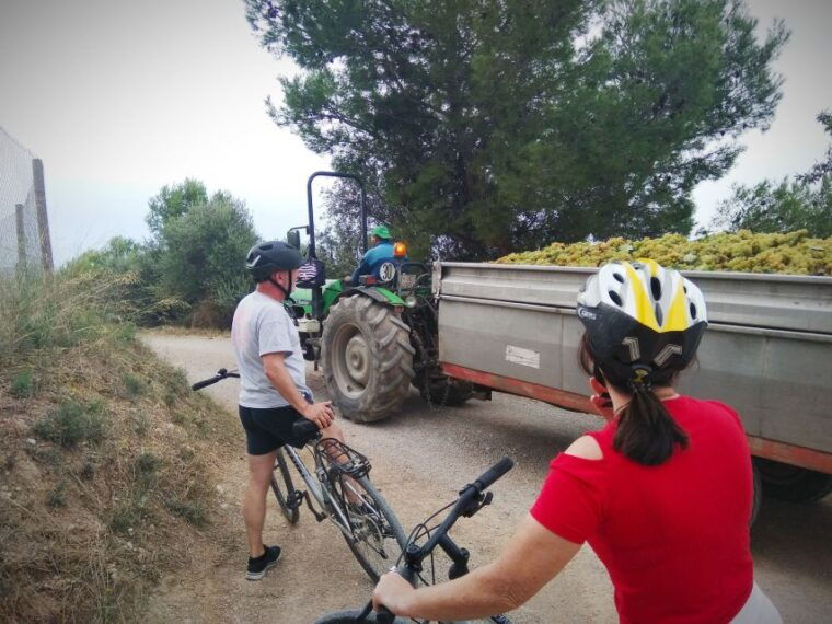 from-sitges-cycling-tour-with-winery-visit-and-tasting
