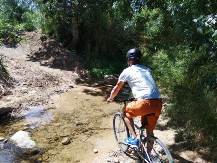 from-sitges-paella-masterclass-with-drink-and-bike-ride