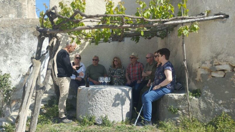 from-sitges-wine-tasting-at-2-wineries-snacks-and-pickup