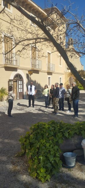 from-sitges-wine-tasting-at-2-wineries-snacks-and-pickup