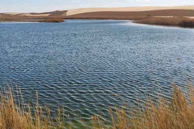 From Siwa: 2-Day Desert Safari, City Guided Tour, Salt Lakes & 1 night camping - An In-Depth Look at the Siwa 2-Day Safari
