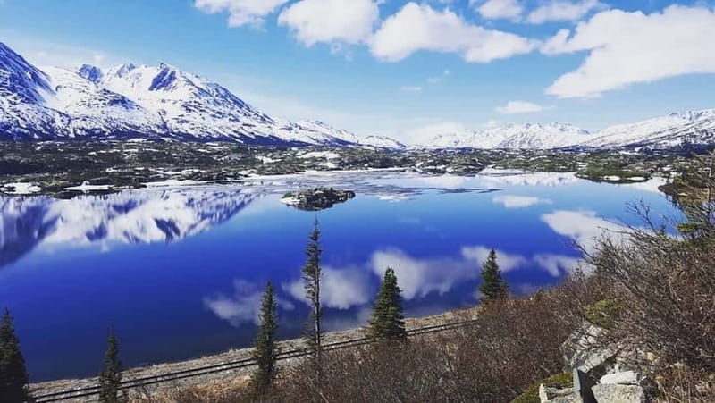 from-skagway-white-pass-and-yukon-suspension-bridge-tour-2