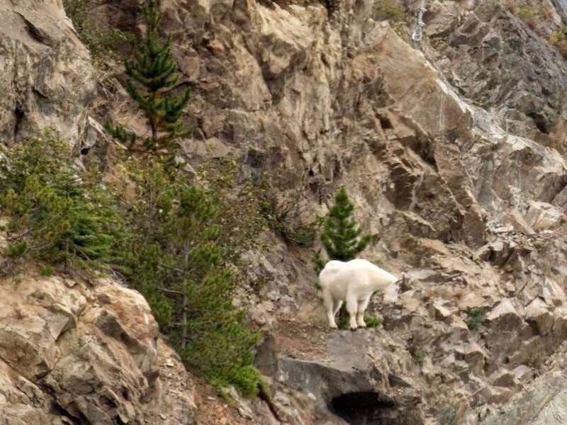 from-skagway-white-pass-and-yukon-suspension-bridge-tour-2