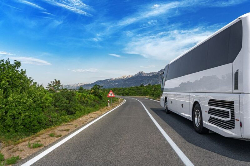 from-skagway-white-pass-summit-guided-bus-tour