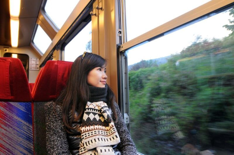 from-skagway-white-pass-summit-guided-bus-tour