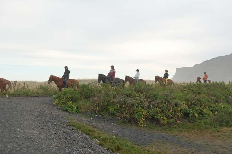 From Skarfabakki: South Coast Tour w/ Solheimajokull Glacier - Who Would Love This Tour?