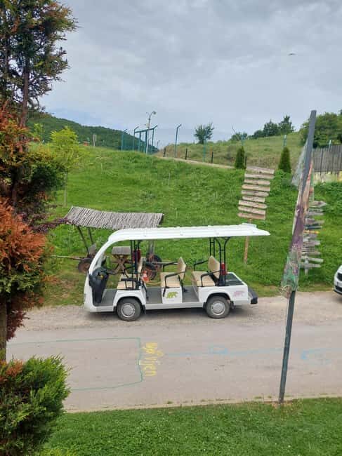 From Skopje: Kosovo in a Day  Prishtina, Monastery & Bears - Wildlife Encounters at the Bear Sanctuary