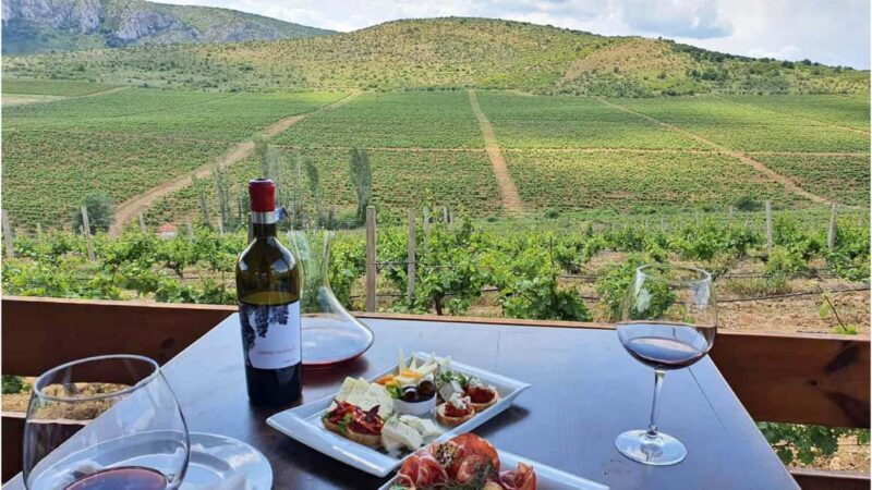 From Skopje: Lazar & Chateau Sopot Wineries Visit & Tastings - Key Points