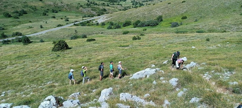 From Skopje: Ohrid and Magaro Peak Hike on Galicica Mountain - An In-depth Look at the Tour