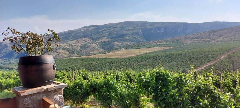 From Skopje: Private Tour of Sopot Winery with Lunch - From Skopje: Private Tour of Sopot Winery with Lunch — A Detailed Look